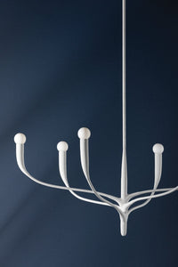 Hudson Valley Lighting Chandelier Labra Chandelier