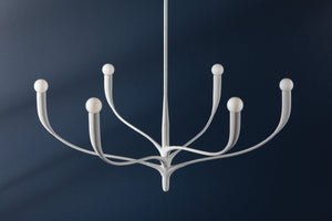 Hudson Valley Lighting Chandelier Labra Chandelier