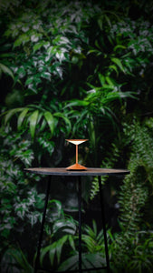 Penta Portable Lamp Narciso Small Rechargeable Table Lamp